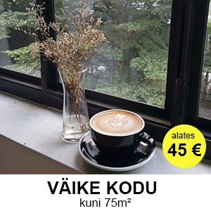 vaikekodu_aknad Telli endale akende pesu